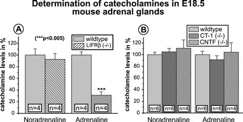 Determination and quantitation of catecholamines and 